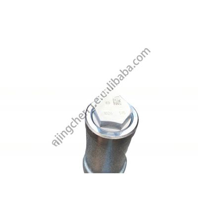 Tamanhos padrão Dongfeng Kinland Caminhão Combustível do motor a diesel Tubo de trilho comum D5010224030